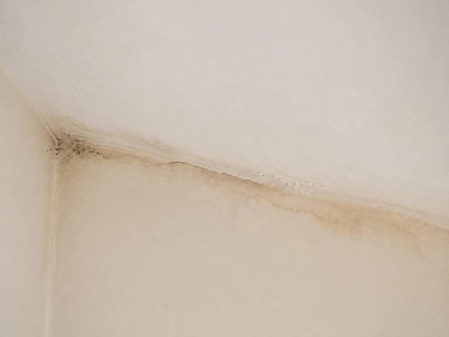 Trace d’humidité et moisissure localisée à la jonction d’un mur et d’un plafond